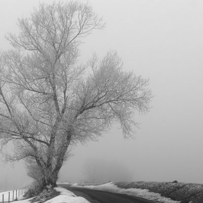 Paysage sous la neige.