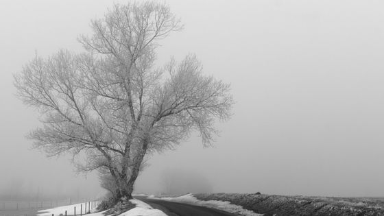 Paysage sous la neige. - Libre de droit, Pixhere