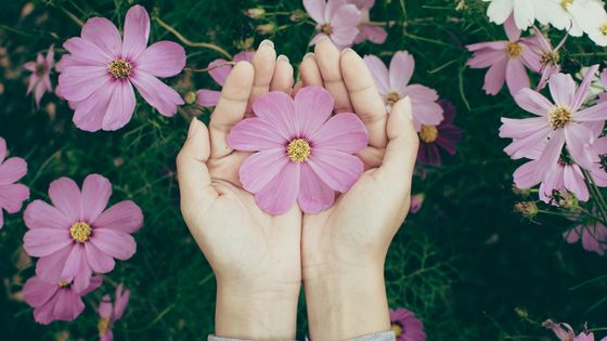 Mains tenant une fleur ©Getty - Sarawut Wiangkham / EyeEm