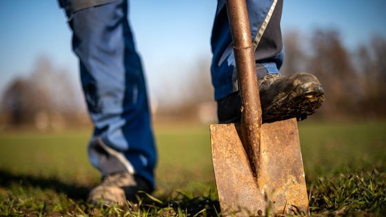 Des producteurs respecteux de bonnes pratiques environementales et animales ©Getty - picture alliance