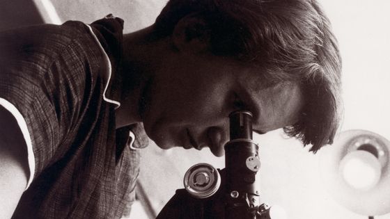 Rosalind Franklin (1920 - 1958) ©AFP - Ann Ronan Picture Library / Photo12