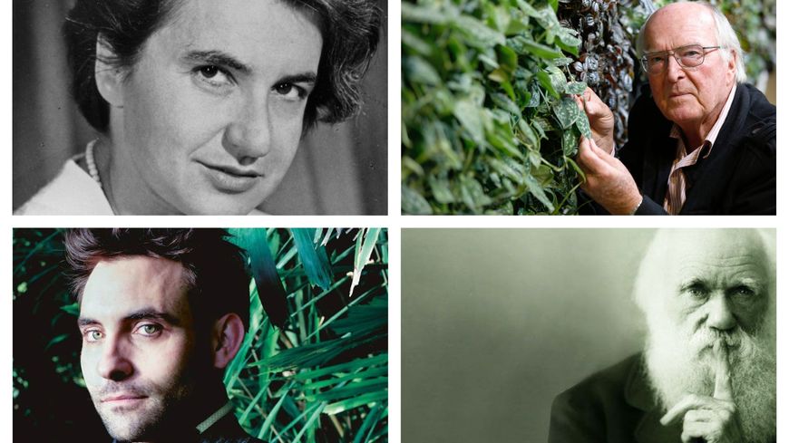 Rosalind Franklin, Jean Hallé, Marc Jeanson et Charles Darwin.