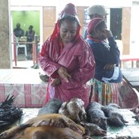 A Libreville, au Gabon, une cliente regarde l'étal d'un marchand, où du pangolin et d'autres viandes d'animaux sauvages sont proposées.