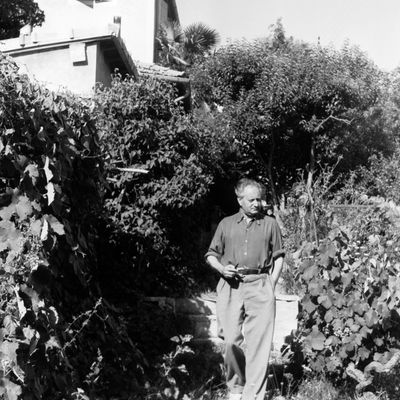 Jean Giono en Provence dans les années 60.