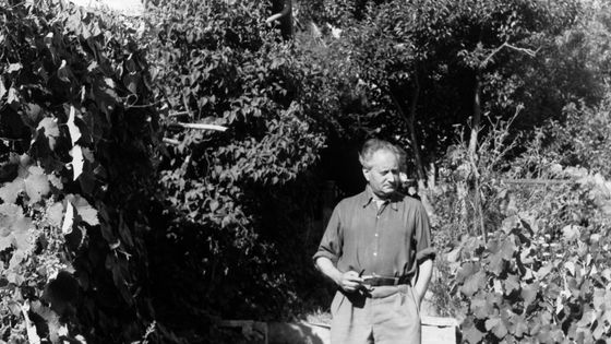 Jean Giono en Provence dans les années 60. ©Getty - Photo by Keystone-France/Gamma-Rapho via Getty Images