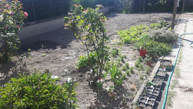 Coronavirus Gros Succes Pour Le Jardinage Depuis Le Debut Du Confinement