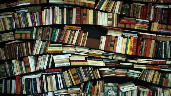 Quand retrouverons-nous le doux parfum des librairies et le plaisir de rayoner entre les étagères remplies de nos livres favoris ? ©AFP - JOEL SAGET
