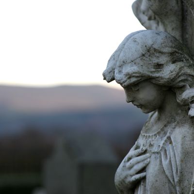 Ange