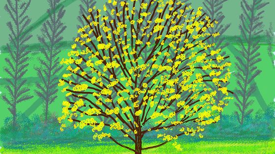 "No. 153" - 5th April 2020 - iPad drawing - David Hockney