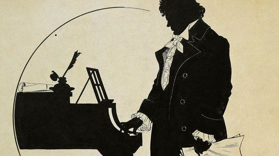 Ludwig van Beethoven, silhouette de Schlipmann (détail) ©Getty - Photo by DEA / A. DAGLI ORTI/De Agostini via Getty Images