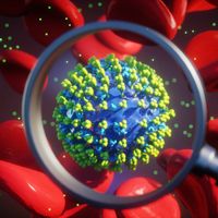 Recherche sur les coronavirus. Illustration d'un microscope montrant une particule de coronavirus avec des globules rouges (érythrocytes).