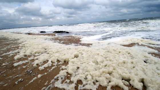Plage de Ouistreham recouverte d'écume, en 2006 ©AFP - Mychele Daniau