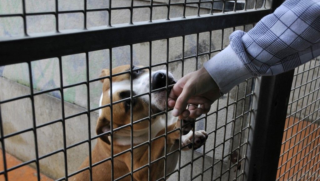 Confinement le gouvernement va autoriser les sorties
