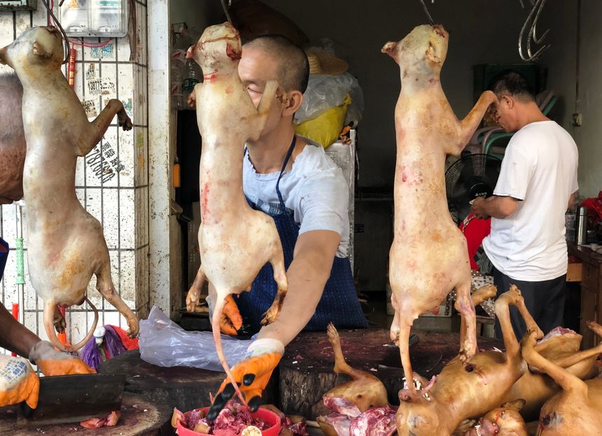 Sur le marché de Dongkou à Yulin (Chine) où a lieu chaque année un festival de la viande de chien, le 20 juin 2018