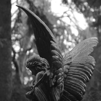 Ange