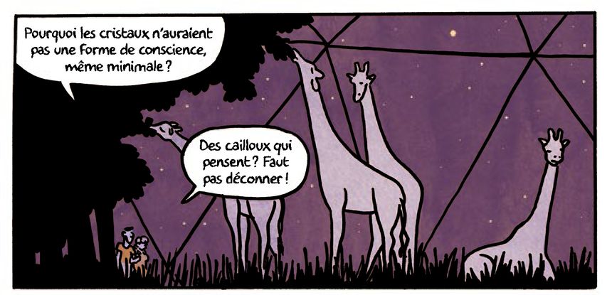 Extrait "Des Milliards de miroirs", de Robin Cousin (2019)