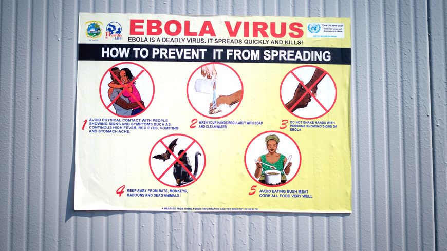 A Goma, en RDC, un panneau dans les locaux de la mission de paix de l'ONU "Monusco" signale les symptômes, le danger d'infection et l'évolution de la maladie d'Ebola. Le 5 septembre 2019