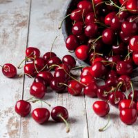 En cette fin de mai, nous avons rendez-vous avec les cerises...