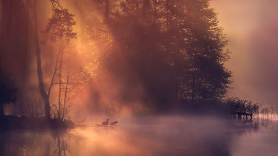 "Nos traces, le long des terres déteintes, Avaient l'ardeur des gorges d'oiseaux." Extrait du poème "Terres des songes", d'Andrée Chedid ©Getty - Maurizio Fecchio
