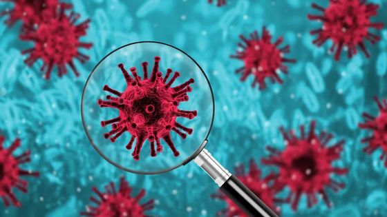 Quels sont les outils utilisés pour étudier la phylogénie d'une infection virale ? ©Getty - Vaidas Bucys / EyeEm