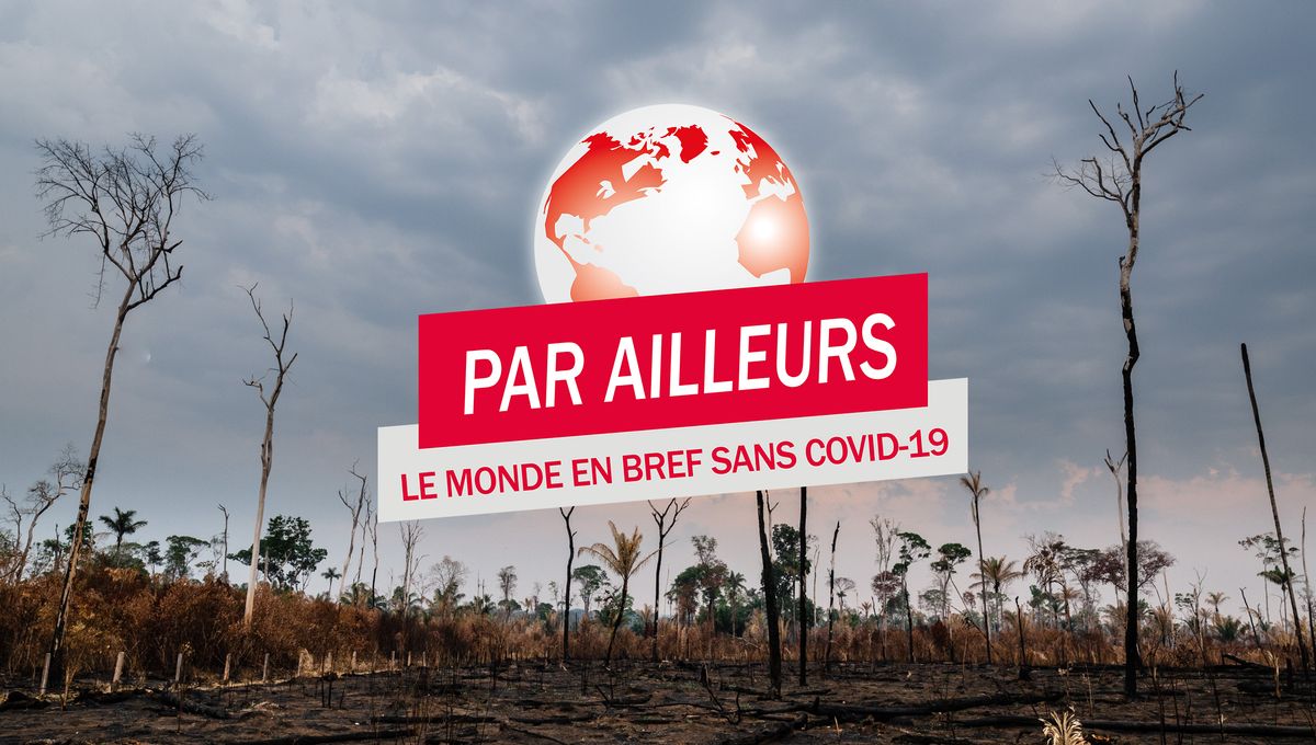 Par Ailleurs 49 En Amazonie La Deforestation Atteint Un Rythme Preoccupant
