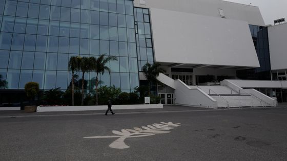 La palme est là mais pas le tapis rouge ©AFP - VALERY HACHE