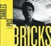 Bricks