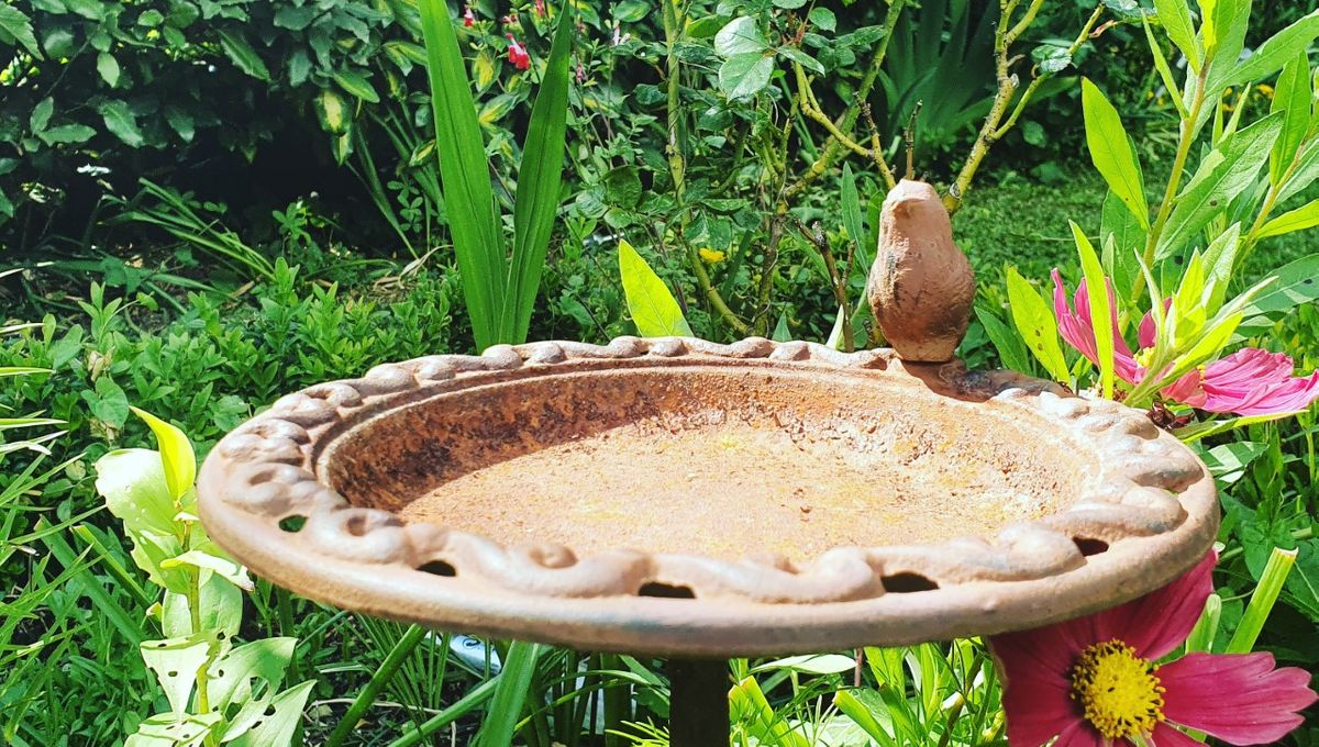 La Lorraine c'est beau... Comme les jardins de nos grandmères
