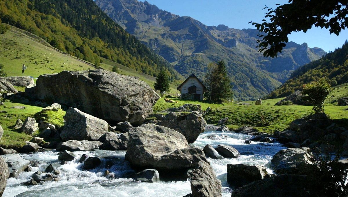 France 3 Provence Alpes Cote D Azur Direct La Vallée d'Ossau à l'honneur sur France 3 dans "Cap Sud Ouest"