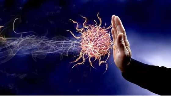 En cas d’attaque, le système immunitaire (composé d’organes, de cellules et de molécules) est impliqué dans 2 types de réponses : l’immunité innée et l’immunité adaptative. ©Getty - WerbeFabrik