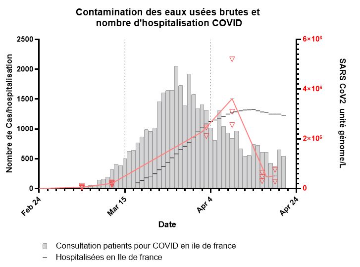 Les tests réalisés montrent une corrélation entre les traces de génome de virus détectées et le nombre d'hospitalisations, aussi bien pour l’augmentation que pour la diminution.