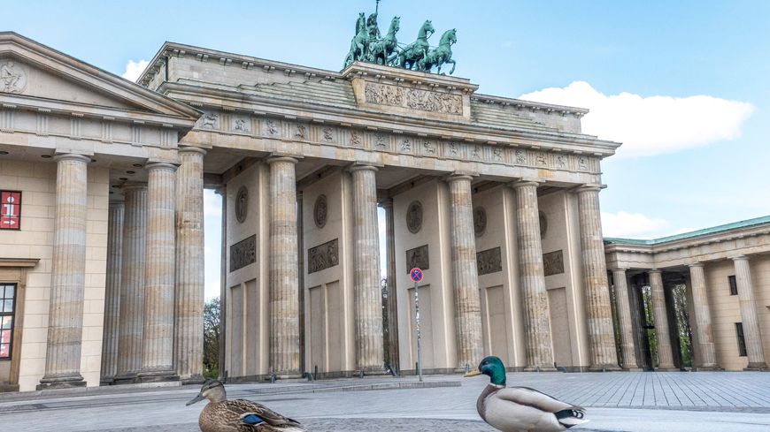 La Porte de Brandebourg, à Berlin, vidée de ses passants et touristes pendant le confinement avec pour seuls visiteurs un couple de canards. Le 14 avril 2020.