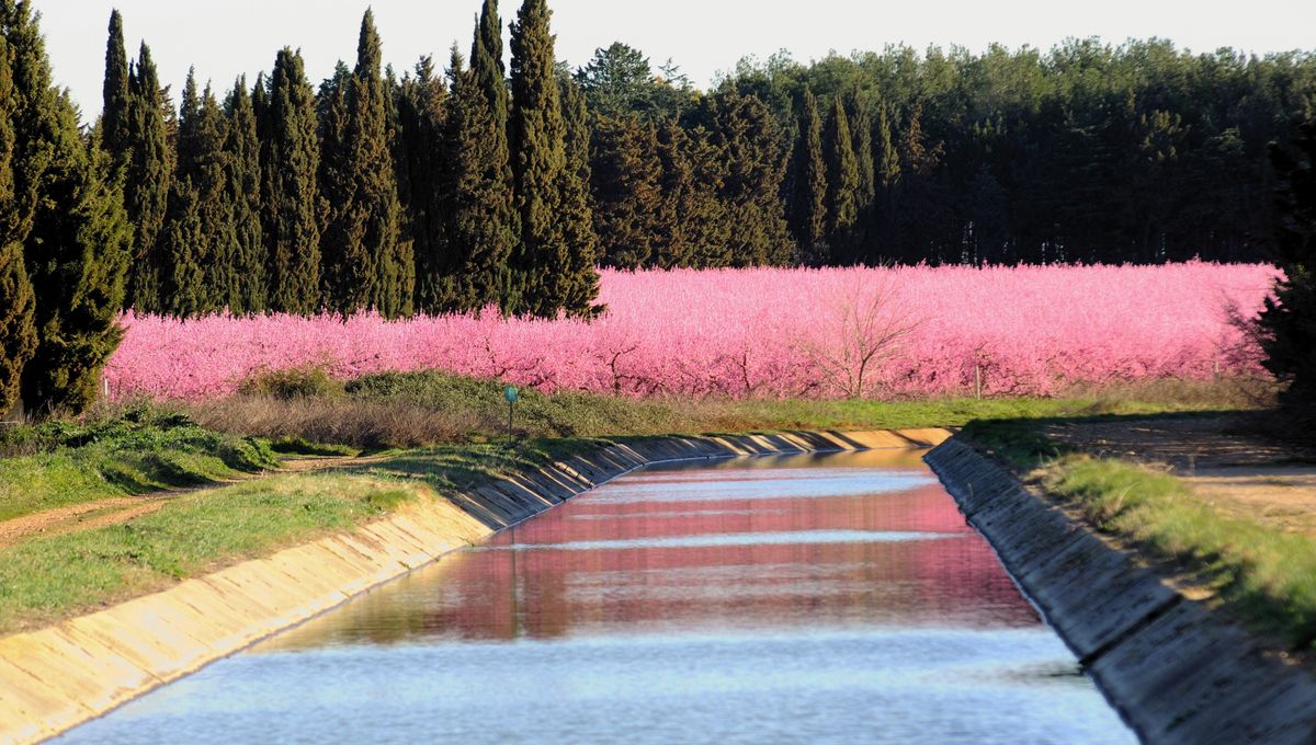 La Relance Eco A Nimes Brl Veut Voir L Avenir Dans Une Logique De Confiance Partagee