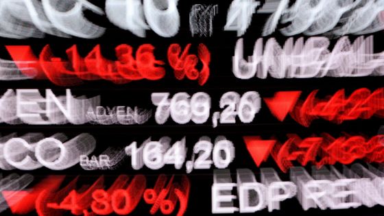 Fluctuation des cours ©AFP - ERIC PIERMONT
