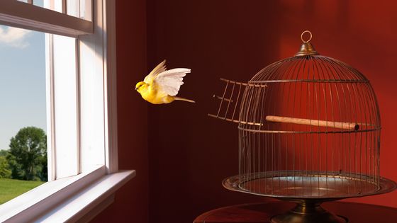 "Je vogue désormais, sans me demander si le monde s’effondre..." par Cynthia Fleury ©Getty - PM Images