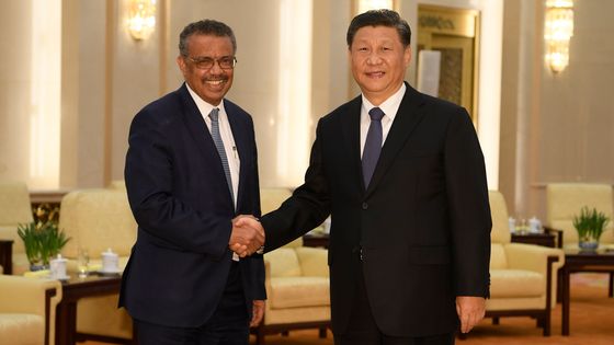 Le président Xi Jinping et le secrétaire général de l'OMS Tedros Adhanom à Pékin le 28 janvier dernier ©AFP - NAOHIKO HATTA / AFP
