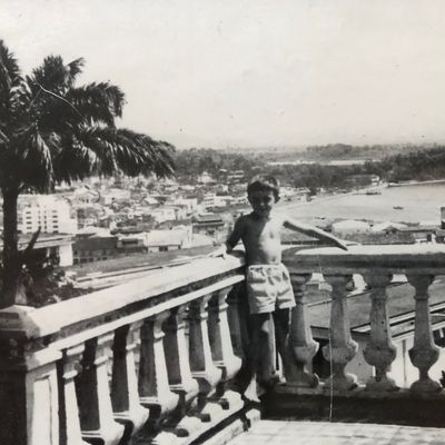 Le jeune Edwy Plenel face la baie de Fort-de-France, Martinique, 1958
