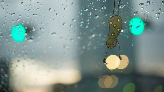 "Boire sous la pluie, et faire comme si c'était soleil toute la nuit" ©Getty - Kouichi Chiba