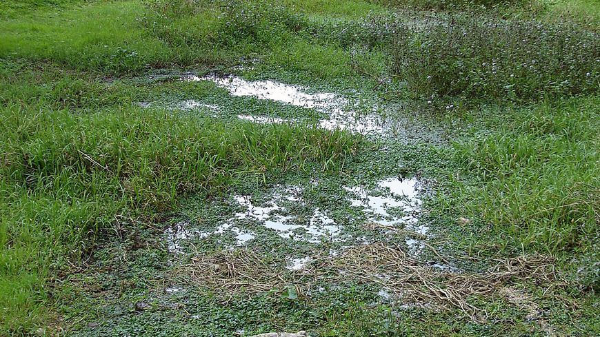 Les premières gouttes d'eau de Source-Seine