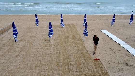 Sur la plage de Cabourg, avant le démarrage de la saison ©AFP - MYCHELE DANIAU
