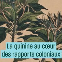 La quinine au cœur des rapports coloniaux