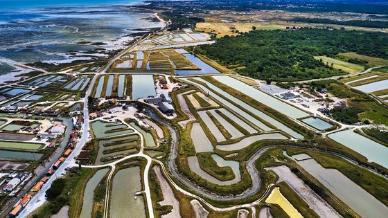 Tourisme des les 2 Charentes