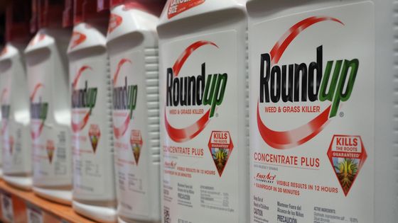 En acceptant l'accord, Bayer n’admet aucune faute et pourra continuer à vendre son herbicide Round'Up aux Etats-Unis ©AFP - Robyn Beck