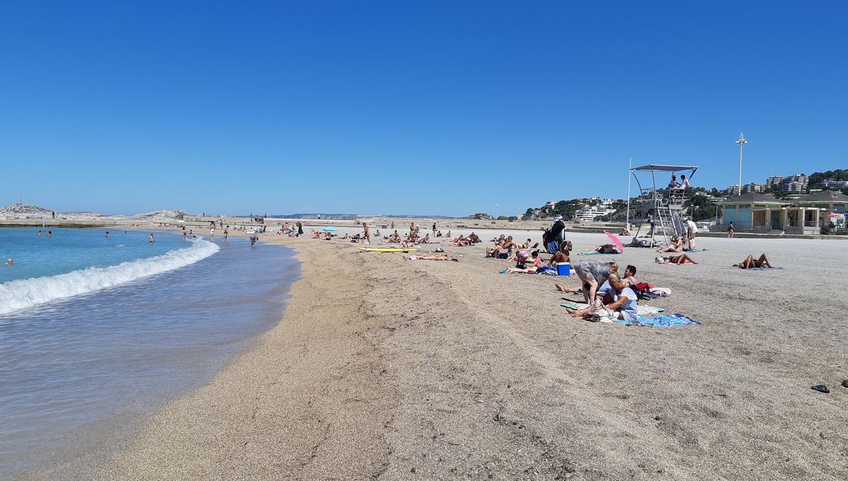 Trop D Incivilites Sur Les Plages A Marseille