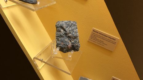 Le Musée Vert