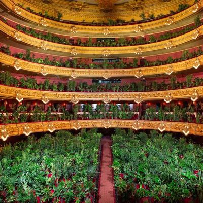 Concert pour le Biocène au Théâtre du Liceu de Barcelone, le 22 juin 2020