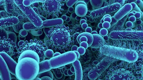 Quels sont les types de virus connus pour pouvoir persister de façon latente ou chronique dans l’organisme ? ©Getty - ROGER HARRIS/SCIENCE PHOTO LIBRARY