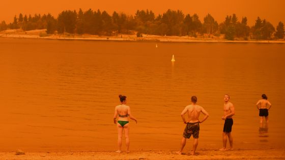 Les feux incontrôlables se multiplient dans le monde ©AFP - SAEED KHAN