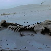 L'illusion de la fin de l'histoire