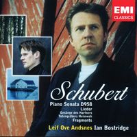 Pflicht und Liebe D 467